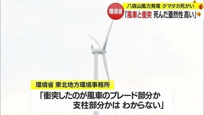 売れ筋】 智慧への道―気づきと正知による心の観察 人文 - vedam.academy