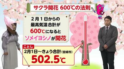 サクラを呼ぶ恵みの雨「催花雨」をご存じですか？古山予報士が教える