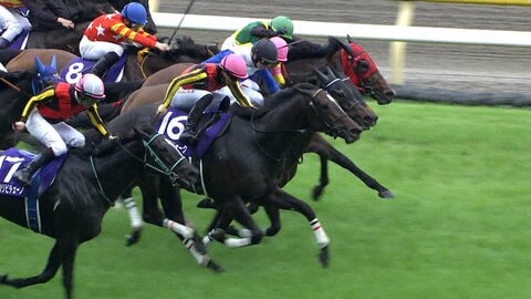 【春の女王決定戦 ヴィクトリアマイル・G1】東京5週連続G1の第2弾！桜花賞＆秋華賞馬vsオークス馬　4度目直接対決の行方は？