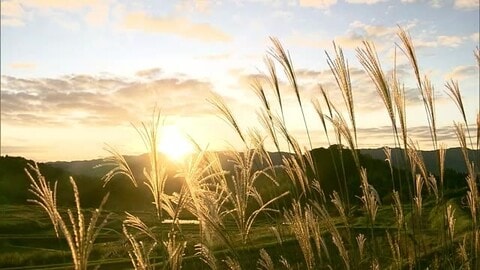 雲海が告げる秋の深まり…放射冷却で強い冷え込み　島根県の山間部で今季初の「冬日」
