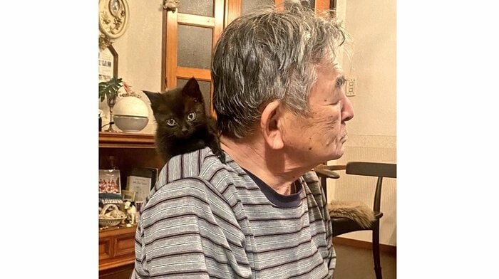 お父さんの肩へ上り遊んでいる様子