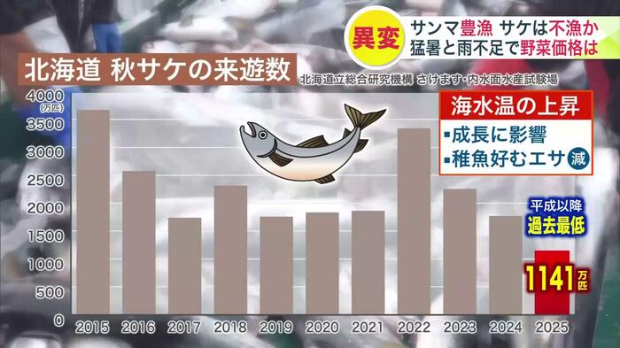 2025年の秋サケ来遊量は2024年から4割減る予測
