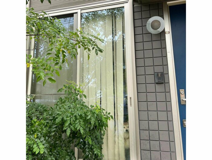 提供:橋本真実さん