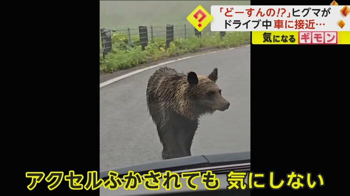(FNN投稿サイト「ビデオPost」)