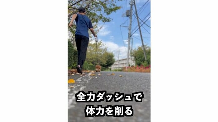 4回目のお散歩は全力ダッシュで体力を削っていく(提供:@kotarohesoten)