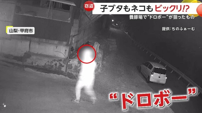足早に移動するドロボー