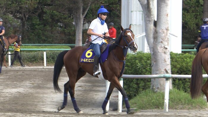 ソールオリエンスに騎乗する横山武史騎手