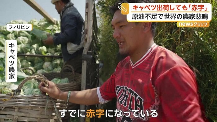 厳しい現状を語るキャベツ農家の男性