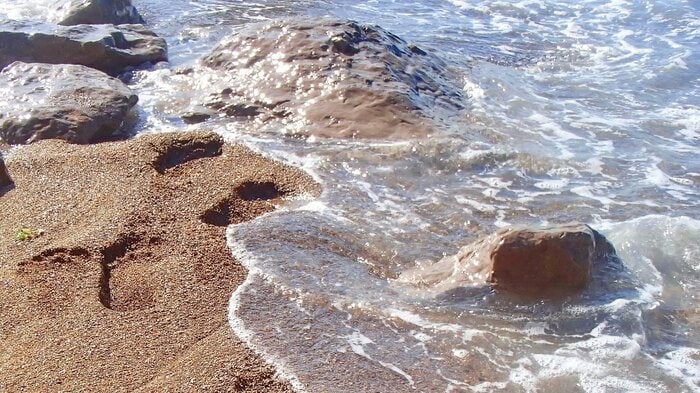 浅い海で触手を剥がそう(画像はイメージ)