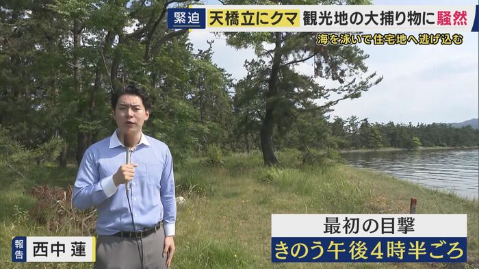 最初の目撃場所