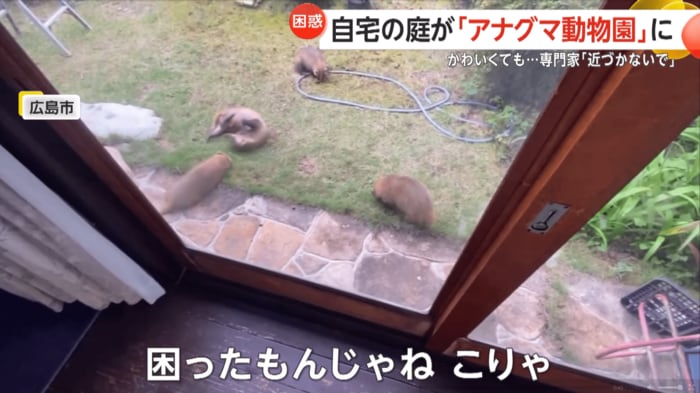 「困ったもんじゃね、こりゃ」と話す家主(視聴者撮影)