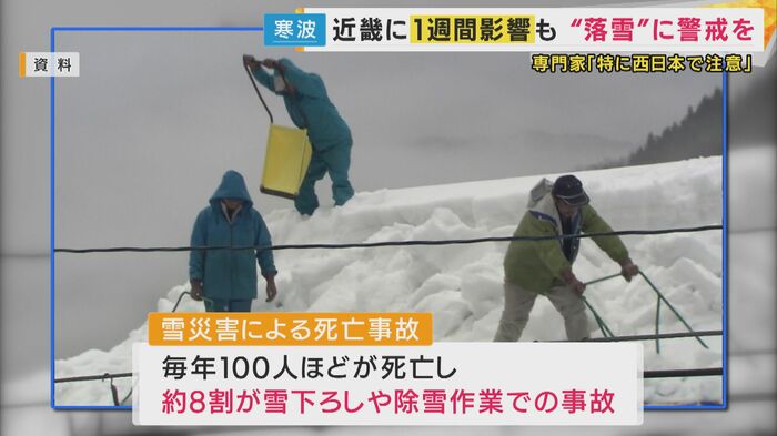 雪下ろしや除雪作業 ※イメージ