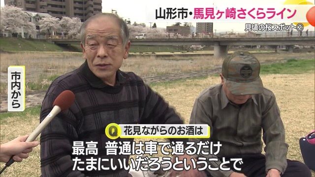 川のせせらぎを耳にしながら、美しいサクラを眺めながらのお酒は楽しかったそう