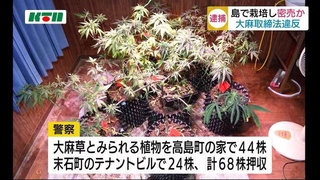 離島で大麻を栽培して密売か…長崎市のバー経営者ら5人を逮捕