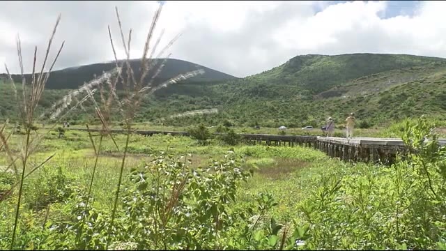 処暑が過ぎ…標高およそ1600mの浄土平には秋の気配 ススキが風に揺れて…<福島県福島市>