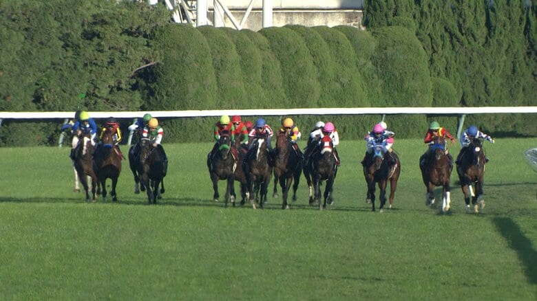 【アルゼンチン共和国杯&amp;みやこS】東京2500mの特異舞台で繰り広げられるタフな王者決定戦！京都にはダート王フォーエバーヤングにゆかりのある馬たちが登場！｜FNNプライムオンライン