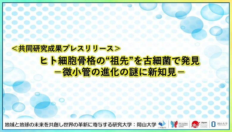 ヒト細胞骨格の“祖先”を古細菌で発見-微小管の進化の謎に新知見-〔理化学研究所, 名古屋大学, ウィタヤシリメティー科学技術大学院大学, 岡山大学, 科学技術振興機構（JST）〕