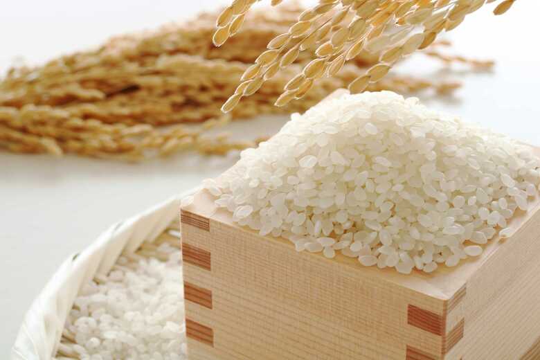 コメの売上個数が減少 価格上昇に加え前月の反動減も