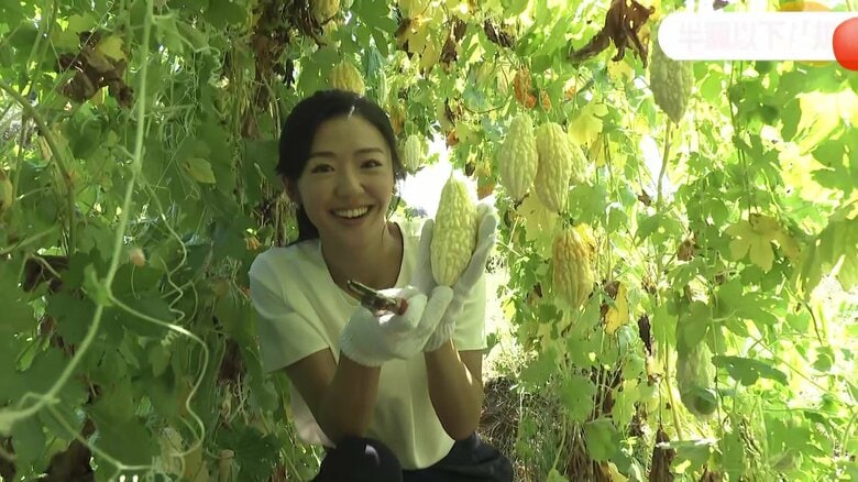 “野菜価格”平年上回り推移か　「規格外野菜」が“救世主”に…正規品の半額以下　無農薬野菜を収穫し放題“サブスク”も登場｜FNNプライムオンライン