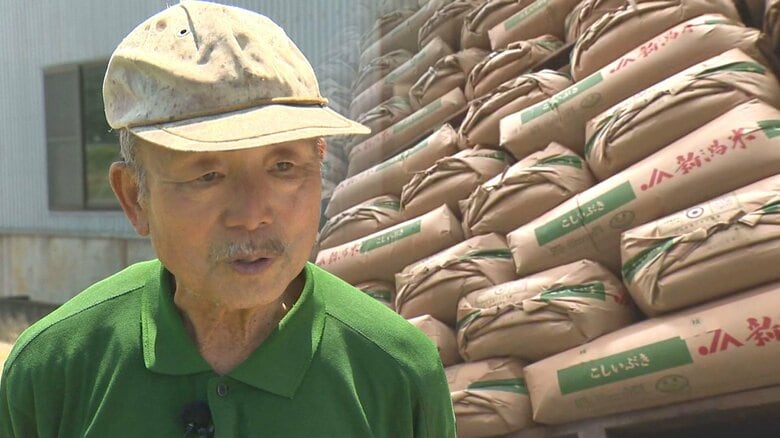 備蓄米“2000円程度”に農家は？「今年の価格に跳ね返ってきたら農家辞めるしかない…」米離れ抑制に期待も25年産米への影響懸念｜FNNプライムオンライン