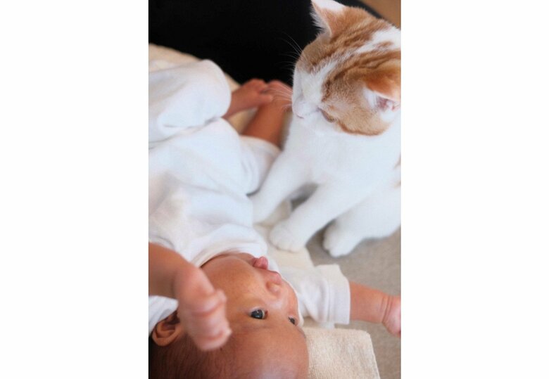 提供：こなつさん