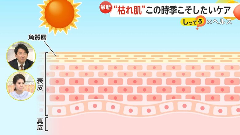 冬の乾燥により炎症やシミ、シワを引き起こす肌の仕組み①