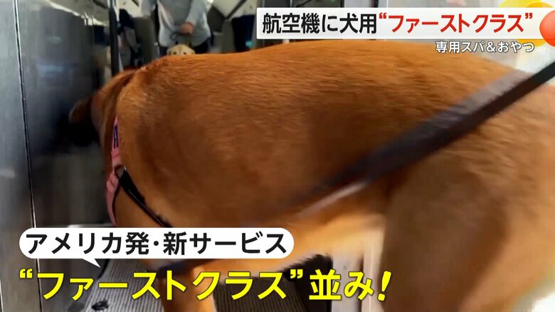 アメリカで始まった「ファーストクラス」並の新サービス
