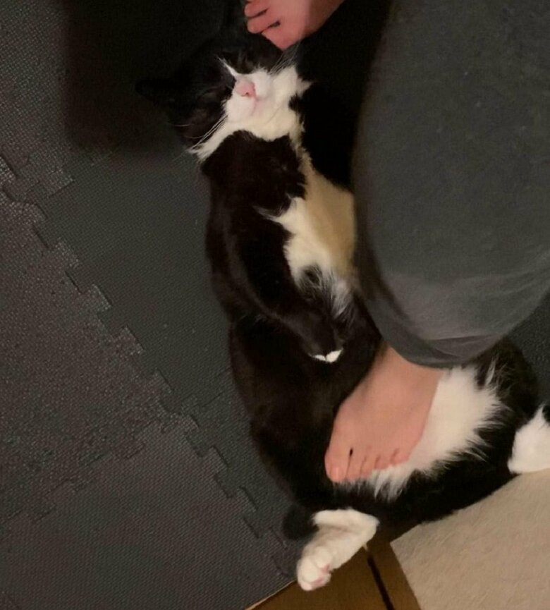 気持ちよさそう…