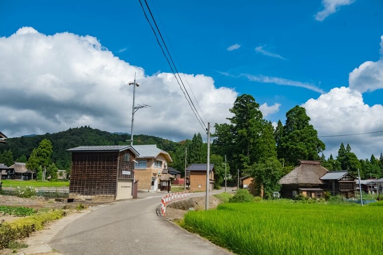 2025年8月撮影