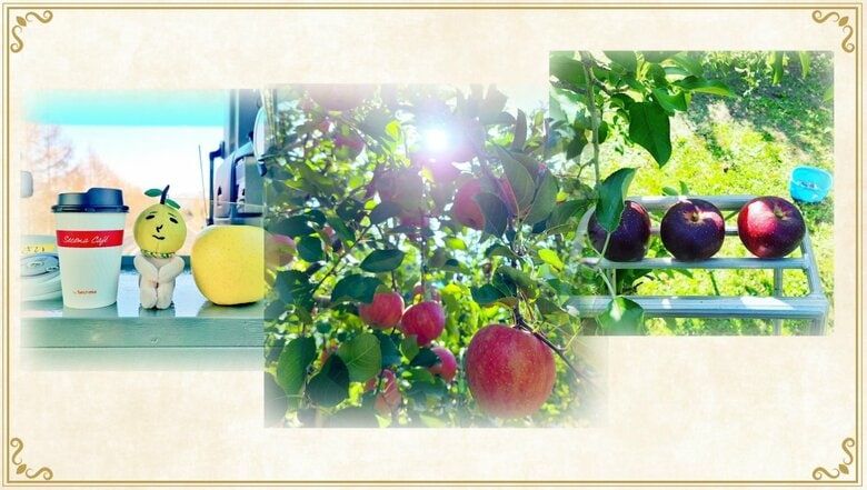 小平奈緒Twitterより