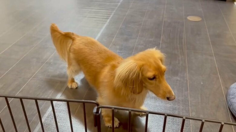 しょんぼりする、ぼんくん