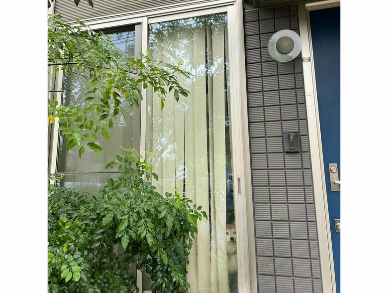 提供：橋本真実さん