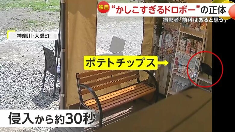 棚のポテトチップスを盗んでいったカラス