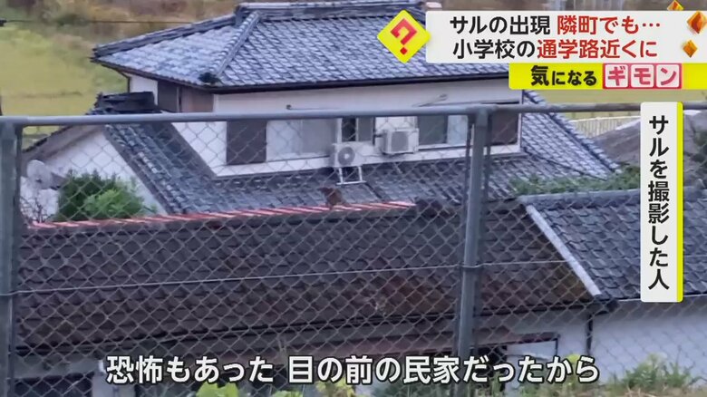 隣町の新富町に現れたサル