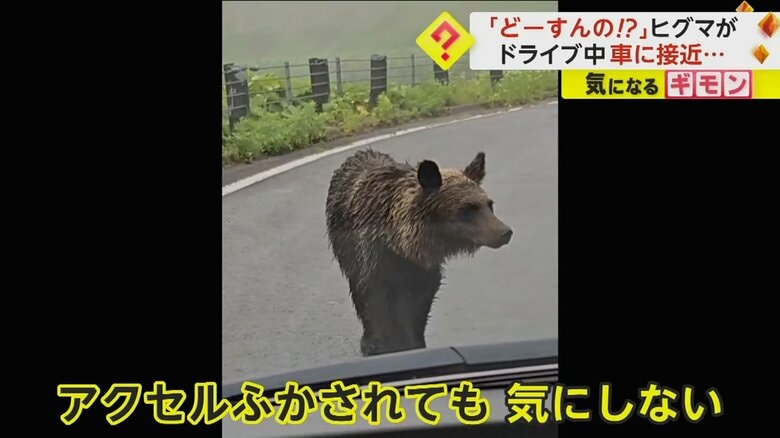 （FNN投稿サイト「ビデオPost」）