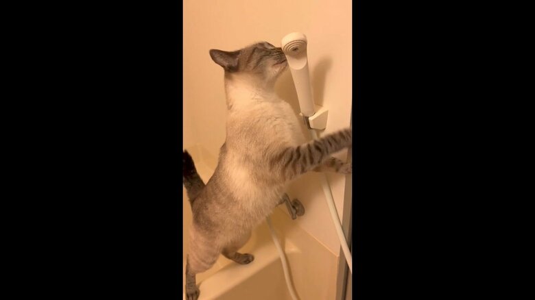 シャワーヘッドにすりすり