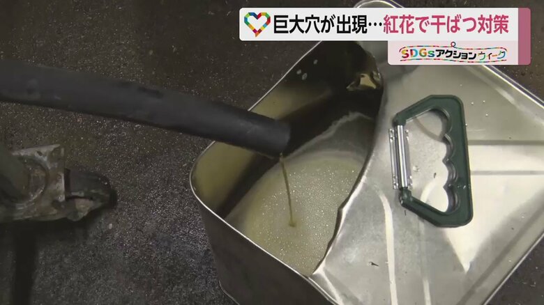 紅花からはオイルもできる