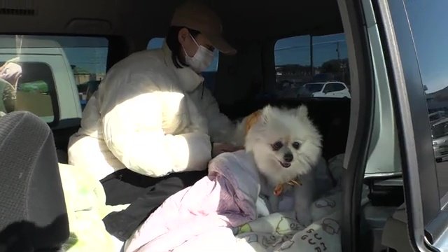 避難所にはいかず車中避難を選択する人も