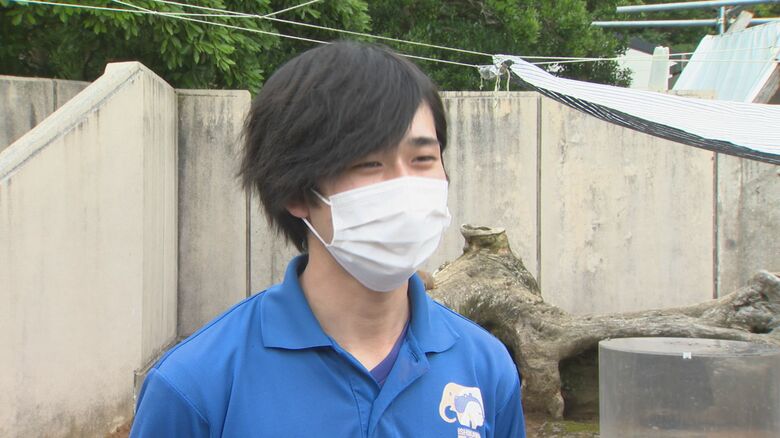 豊澤歩夢さん
