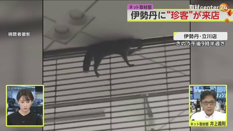 人が行き交う中に現れたとあって、SNSには多数の投稿が