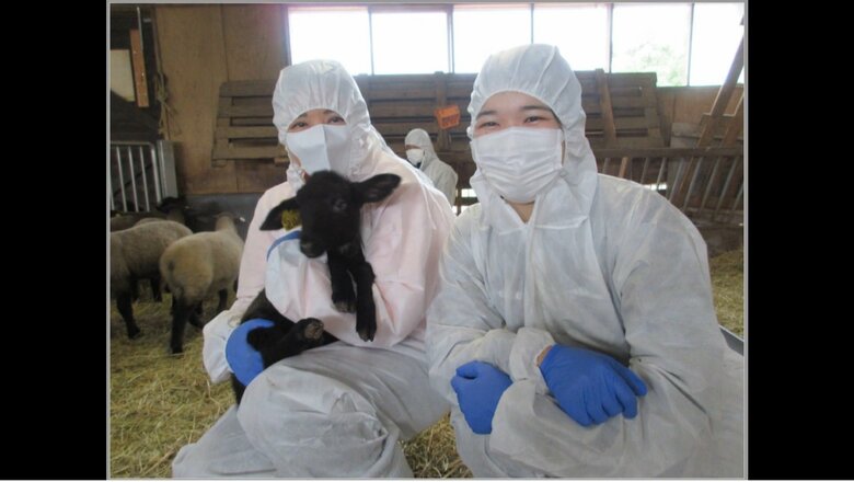 子羊をを抱かれた皇后さま　撮影：天皇陛下　　提供宮内庁