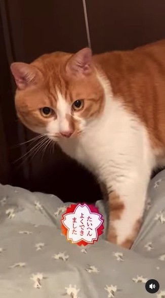 提供：赤瀬川和寿さん