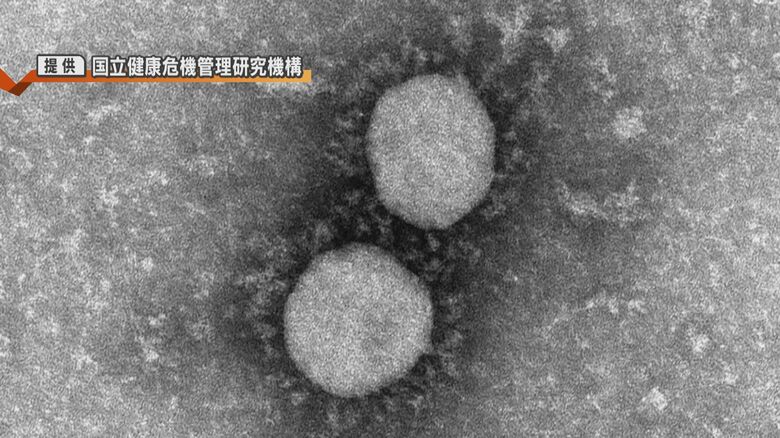 提供：国立健康危機管理研究機構