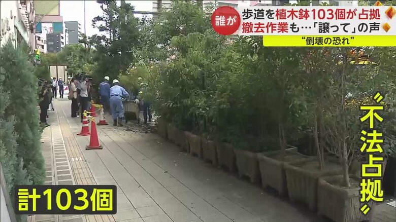 ずらっと並んだ植木鉢。歩道の約3文の1を占拠している