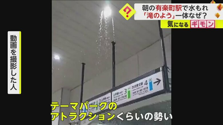 （撮影：キキさん）