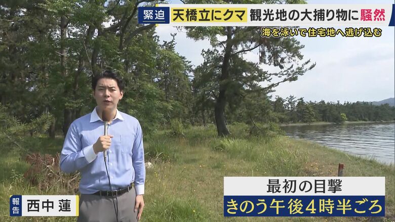 最初の目撃場所