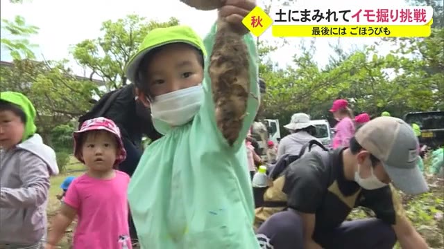 ホクホク実りの秋 土まみれで子どもたちがイモ掘り