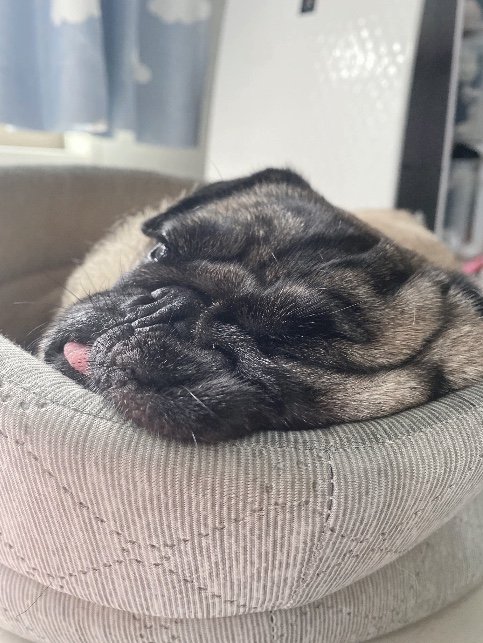 提供：ボンさん