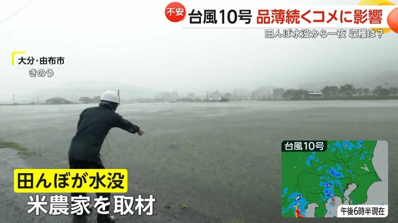 あふれた川の水が田んぼに流れ込み稲が完全に水没（29日、大分・由布市）