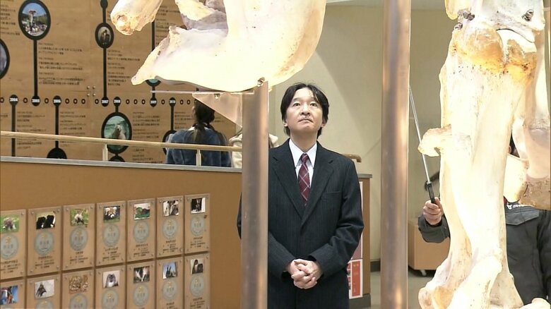 骨格標本をご覧になる秋篠宮さま